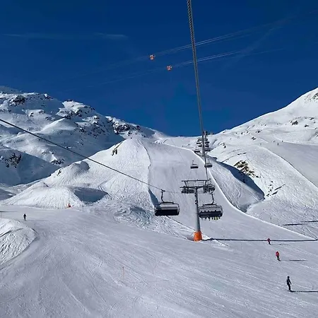 公寓 La Swiss Alps *