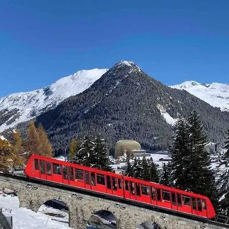 公寓 La Swiss Alps 达沃斯